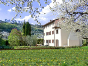 B&B Il Pettirosso Negrar